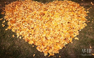 事实婚姻补办结婚证的流程是什么