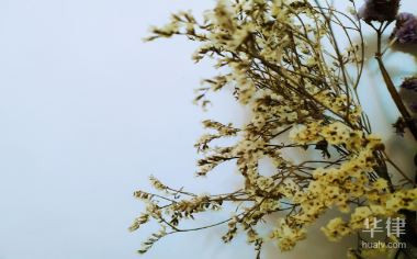 病退后至新公司工作,双方关系如何确认