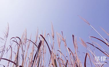 无证驾驶规定的处罚标准是什么