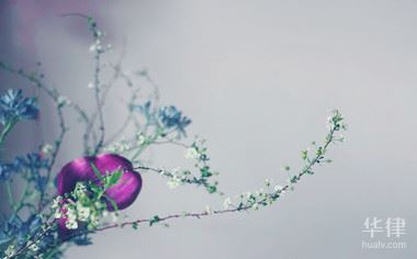 行政复议的被申请人怎样确定