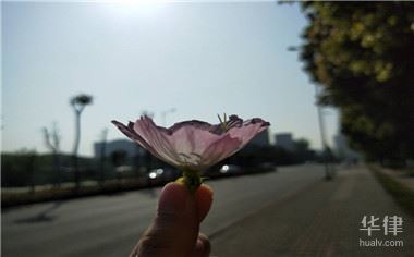 婚前协议净身出户有效吗