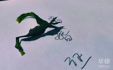 如果老公和别人同居了怎么办？